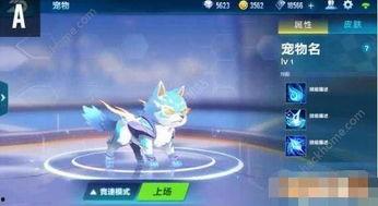 qq飞车新宠物爆料最新,神秘宠物降临！QQ飞车新宠物爆料抢先看  第1张